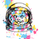 brbrbrbrbrbrbr