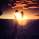 Ivys_Art