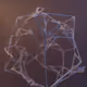bionicsg