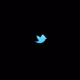 the_tweeting_tim