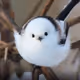StoryLFG