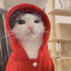 Cat-Wear-Red