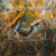 Open_Art
