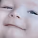 BentleGiant