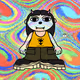 RaverX