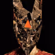VEYN_