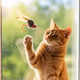 RedHeadCat