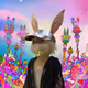 0xfb607c63a7c16dab488293b67961c06e66ce2ebd