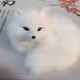 Foxhunt1