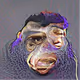 BackwardsApes
