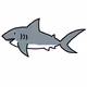 nft__shark
