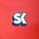 Skynex