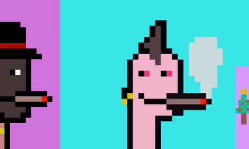 OpenSea banner for @Bunks
