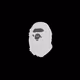 EncryptedNarwhal241