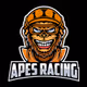 Apes_Racing