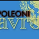 Napoleoni_gavros