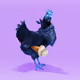 ChiknPone
