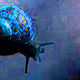 Fear_The_Snail