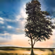 AImpact_Artist