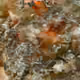 0xfc40dcc9ab7dd6ffa62abd82ad7b913c180f08c5
