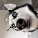 KDreamz311