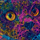ChillytheCAT