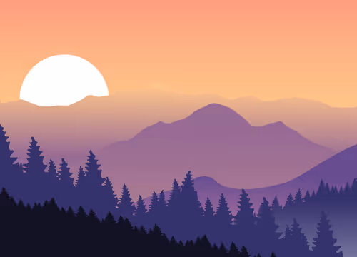 OpenSea banner for @wc