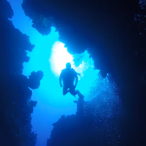 OpenSea profile picture for @Diver