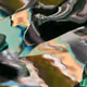 Next_Epoch