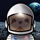 0xfcaa761f91e54fe647a023505a2a680d2ba417d4