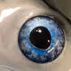 FishCrypto