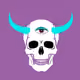 skullcollec