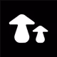 The_Mushroom_Brothers