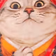 -HanSama-