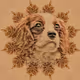 Sammy_the_Beagle