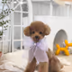 dreamrich7