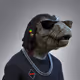 Rastarex