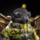 LrdFoo