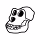 boredapeycx