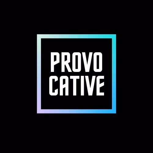 OpenSea profile picture for @provocative
