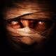 0xfd0da753822a6301138a61a480b73b2d1cc7ff24