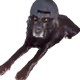 ajvanb
