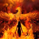Phoenix-_-