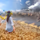 Donate_Armed_Forces_of_Ukraine