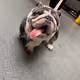 MakOOOO