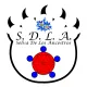 0xfd9c385ca54b1495b91092296a1bcb28422711b0