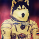 DigitalGoldDude
