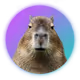 0xfdf614d5b51df0d1892504c8ad7cf45c85be2c62