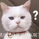 buymynftplz