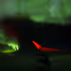 Cosmic_View